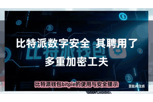 比特派数字安全 其聘用了多重加密工夫