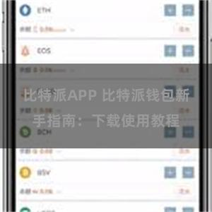 比特派APP 比特派钱包新手指南：下载使用教程