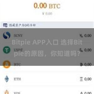 Bitpie APP入口 选择Bitpie的原因，你知道吗？