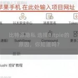 比特派隐私 选择Bitpie的原因，你知道吗？