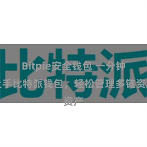 Bitpie安全钱包 一分钟上手比特派钱包，轻松管理多链资产