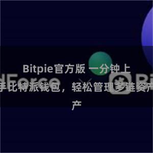 Bitpie官方版 一分钟上手比特派钱包，轻松管理多链资产