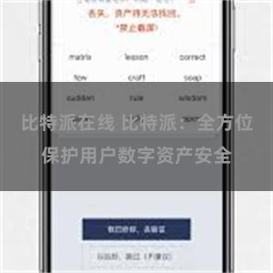 比特派在线 比特派：全方位保护用户数字资产安全