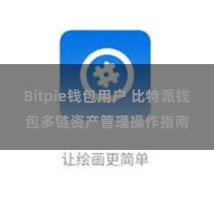 Bitpie钱包用户 比特派钱包多链资产管理操作指南