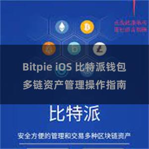 Bitpie iOS 比特派钱包多链资产管理操作指南