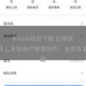 Bitpie钱包下载 比特派钱包多链资产管理技巧：全面攻略