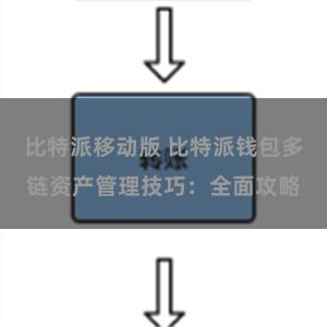 比特派移动版 比特派钱包多链资产管理技巧：全面攻略