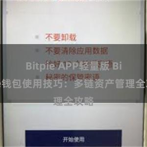 Bitpie APP轻量版 Bitpie钱包使用技巧：多链资产管理全攻略