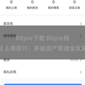 Bitpie下载 Bitpie钱包使用技巧：多链资产管理全攻略