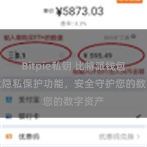 Bitpie私钥 比特派钱包：强大隐私保护功能，安全守护您的数字资产