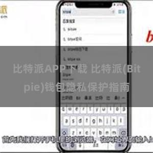 比特派APP下载 比特派(Bitpie)钱包隐私保护指南