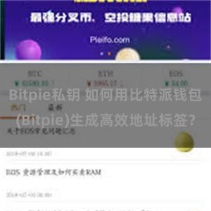 Bitpie私钥 如何用比特派钱包(Bitpie)生成高效地址标签？
