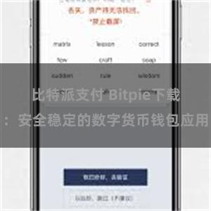 比特派支付 Bitpie下载：安全稳定的数字货币钱包应用