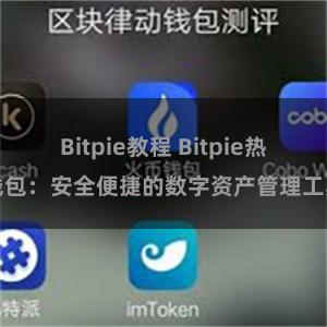 Bitpie教程 Bitpie热钱包：安全便捷的数字资产管理工具