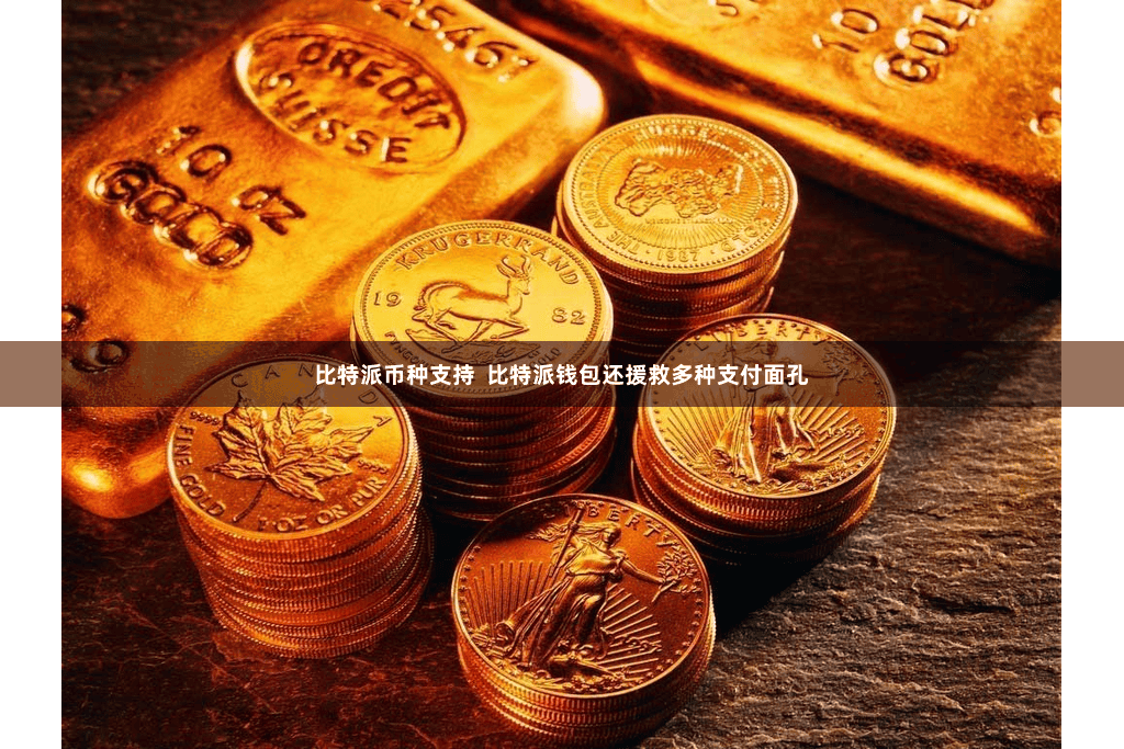 比特派币种支持  比特派钱包还援救多种支付面孔