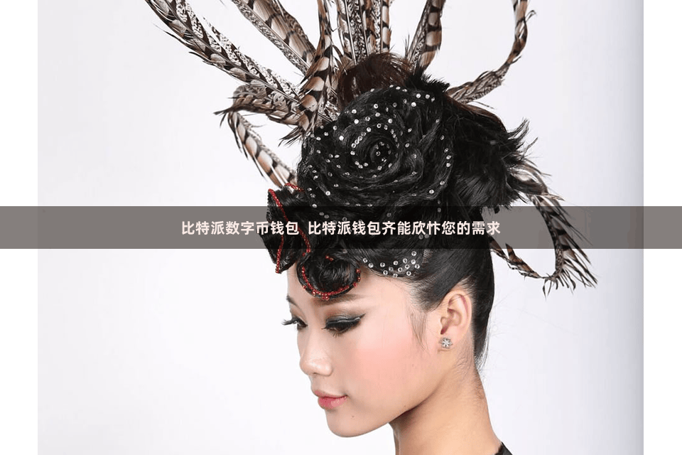 比特派数字币钱包  比特派钱包齐能欣忭您的需求