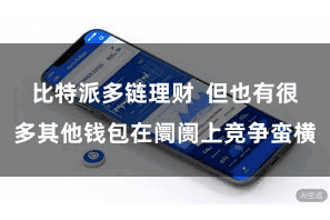 比特派多链理财  但也有很多其他钱包在阛阓上竞争蛮横