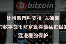 比特派币种支持  以确保用户的数字货币财富赢得最猛进程的保护